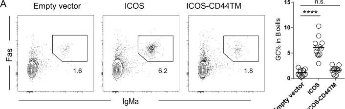 Detection of ICOS by Flow Cytometry