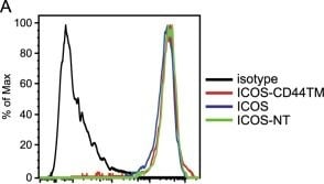 Detection of ICOS by Flow Cytometry