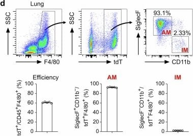 Detection of Siglec-F by Flow Cytometry