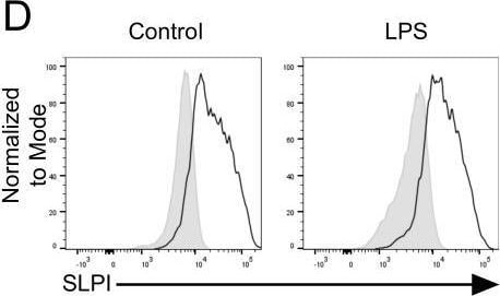 Detection of SLPI by Flow Cytometry