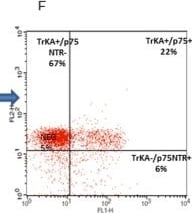 Detection of TrkA by Flow Cytometry