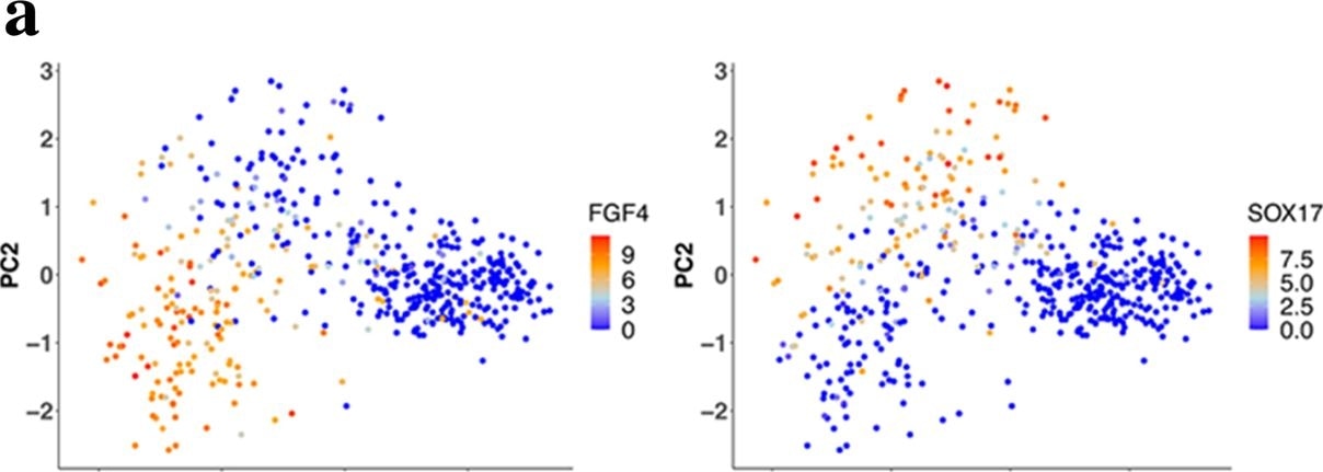 Detection of SOX17 by Flow Cytometry