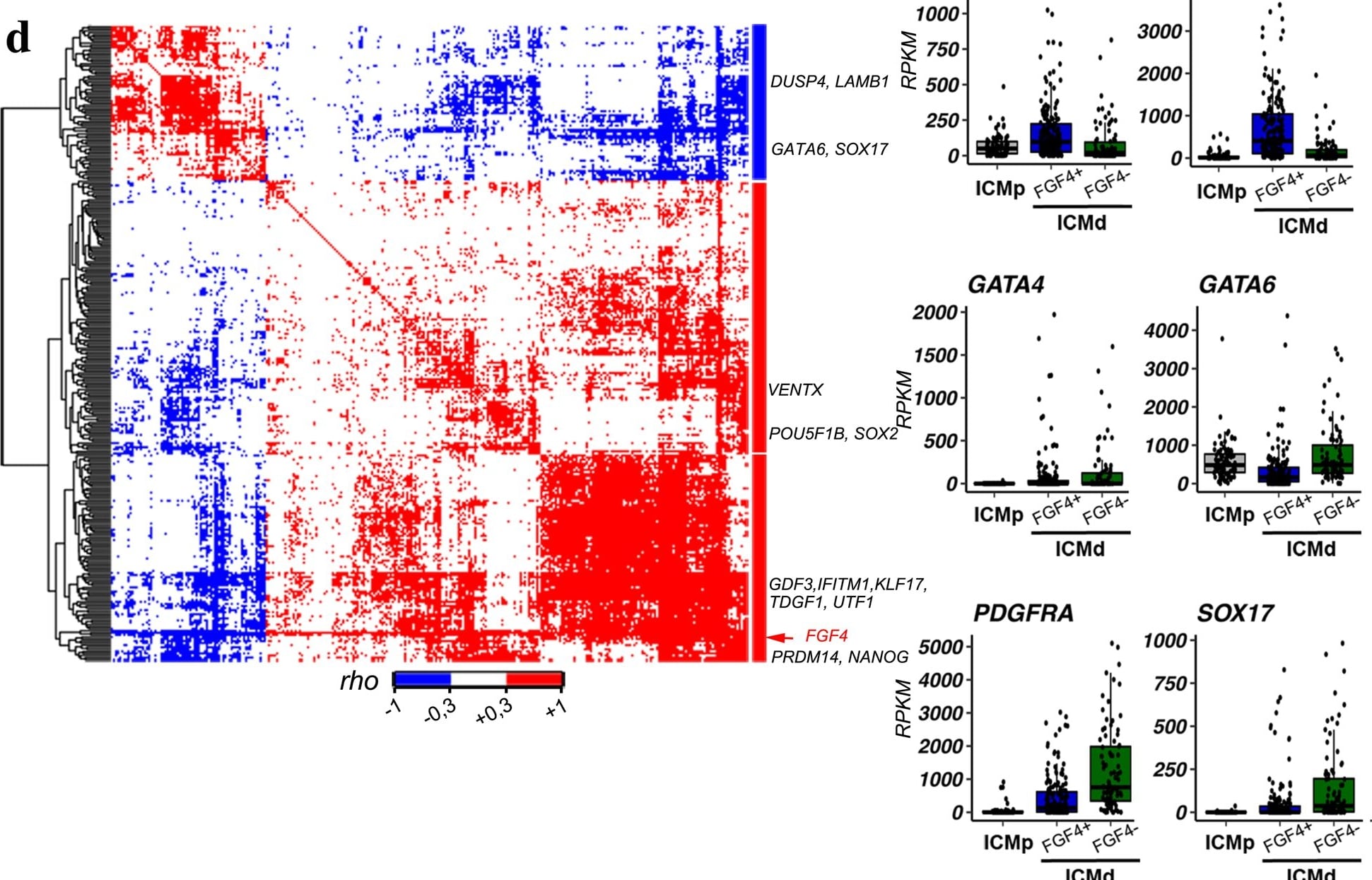 Detection of SOX17 by Flow Cytometry