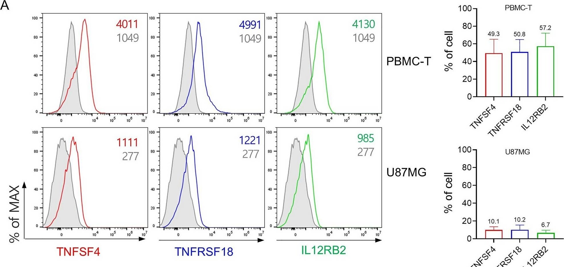 Detection of IL-12 R beta 2 by Flow Cytometry