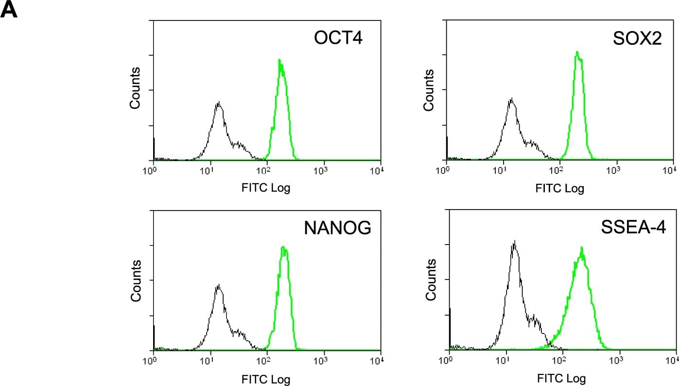 Detection of Human Nanog by Flow Cytometry