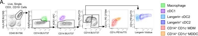 Detection of Langerin/CD207 by Flow Cytometry