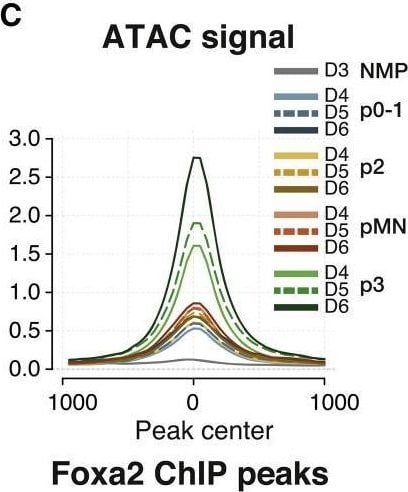 Detection of HNF-3 beta /FoxA2 by Flow Cytometry
