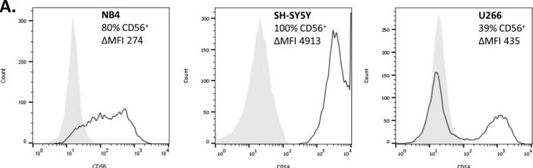 Detection of NCAM-1/CD56 by Flow Cytometry