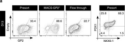 Detection of Human Human PDX-1/IPF1 Antibody by Flow Cytometry