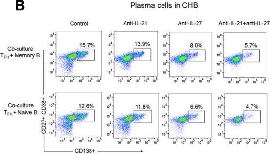 Detection of Human IL-27 by Flow Cytometry