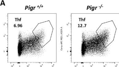 Detection of pIgR by Flow Cytometry