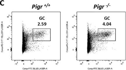 Detection of pIgR by Flow Cytometry