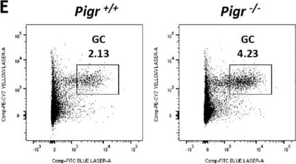 Detection of pIgR by Flow Cytometry
