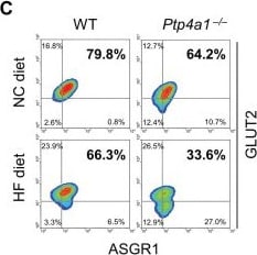 Detection of ASGR1/ASGPR1 by Flow Cytometry