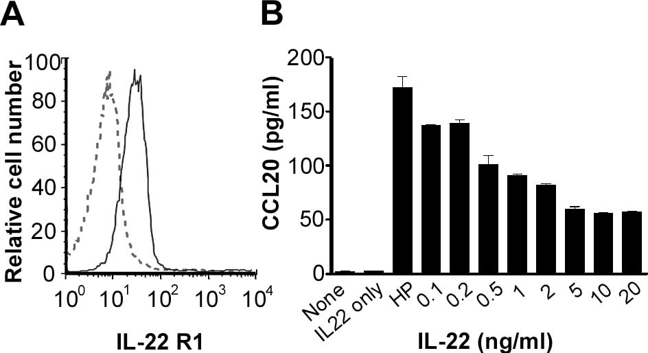 Detection of Human IL-22R alpha 1 by Flow Cytometry