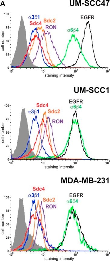 Detection of Syndecan-4 by Flow Cytometry