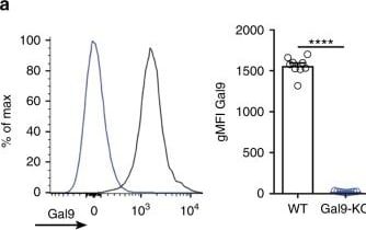 Detection of Galectin-9 by Flow Cytometry