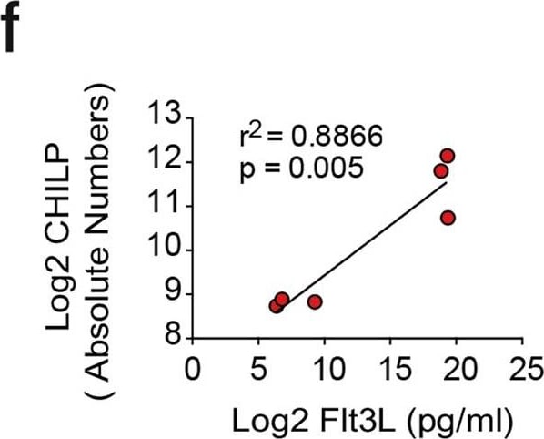 Detection of Mouse Flt-3 Ligand/FLT3L by ELISA