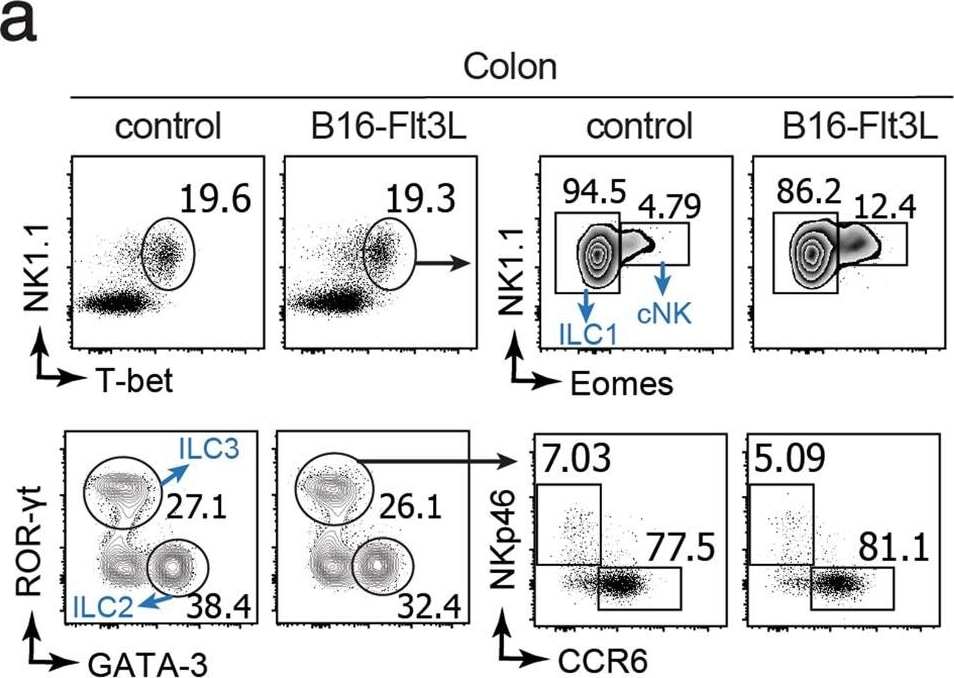 Detection of Mouse Flt-3 Ligand/FLT3L by Flow Cytometry