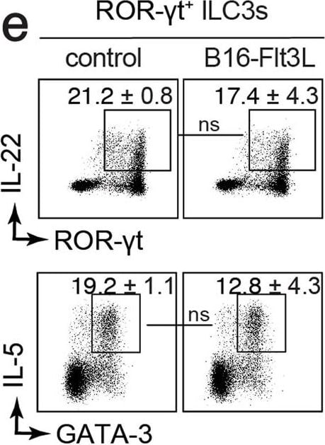 Detection of Mouse Flt-3 Ligand/FLT3L by Flow Cytometry
