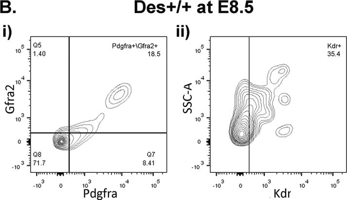 Detection of GFR alpha-2 by Flow Cytometry