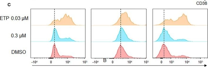 Detection of CD38 by Flow Cytometry