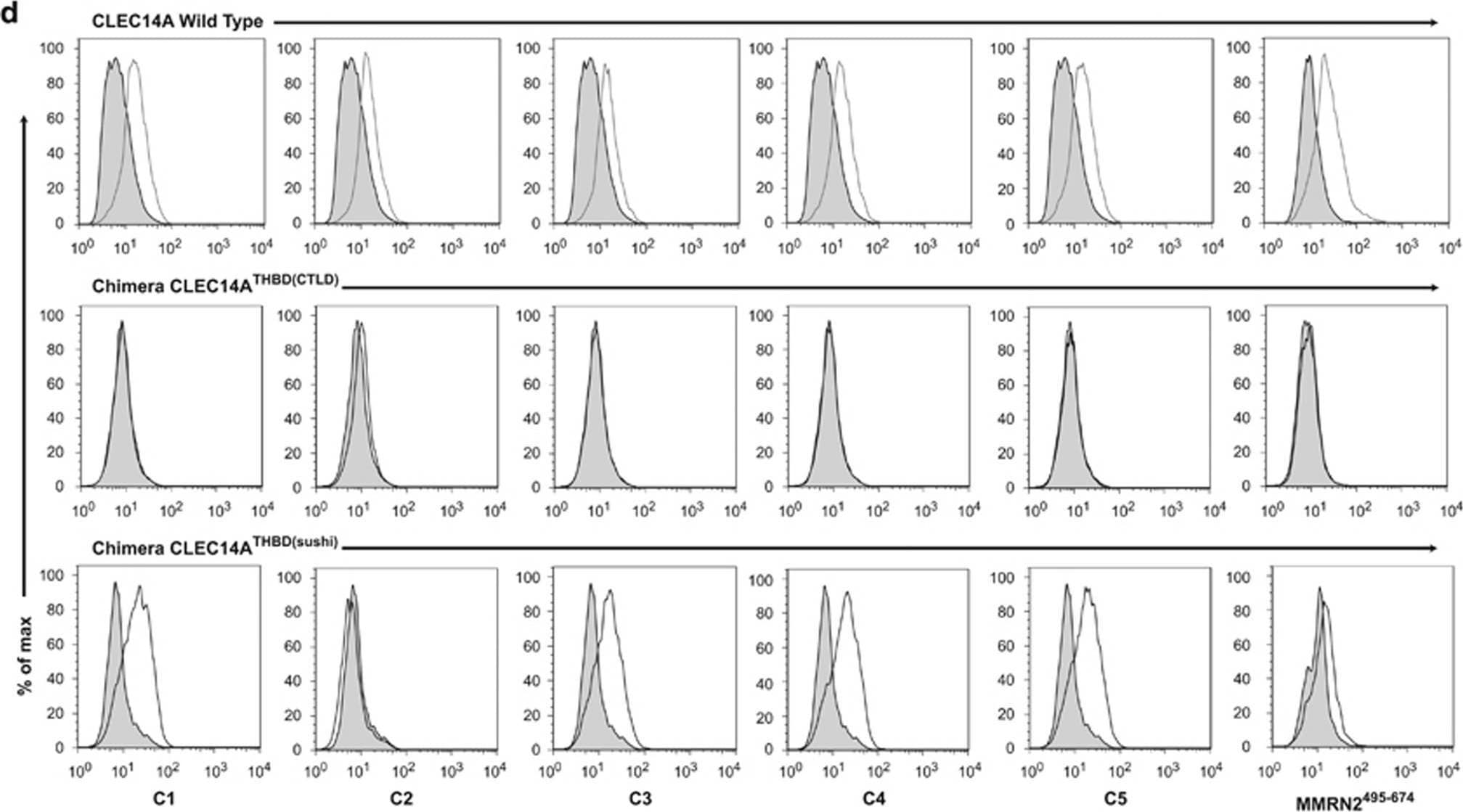 Detection of Human CLEC14A by Flow Cytometry