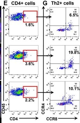 Detection of CD4 by Flow Cytometry