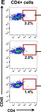 Detection of CD4 by Flow Cytometry
