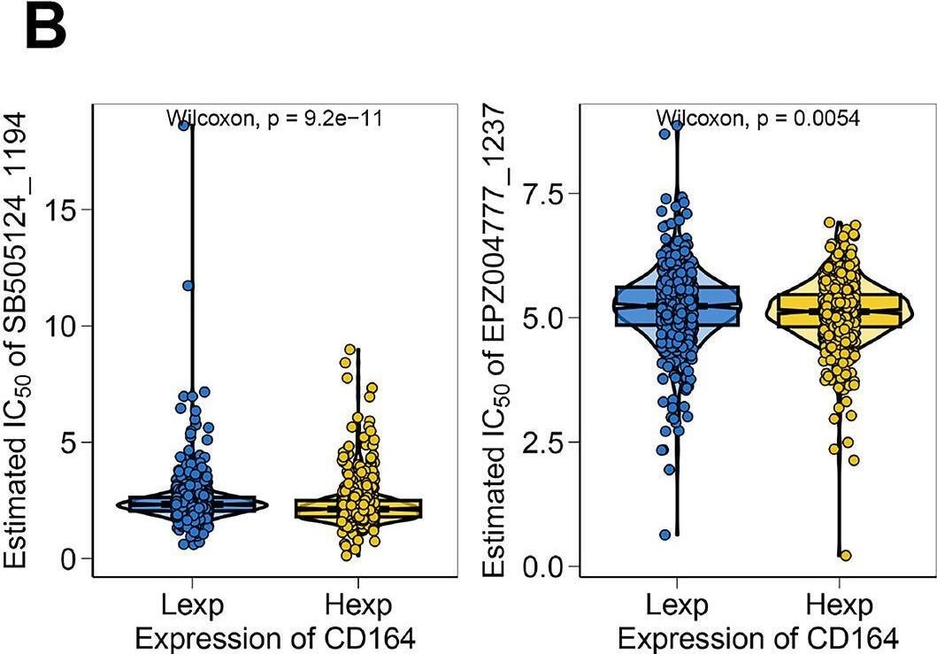 Detection of CD164 by Flow Cytometry