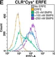 Detection of BMP-6 by Flow Cytometry