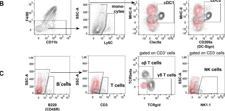 Detection of CLEC9a by Flow Cytometry