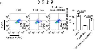 Detection of B7-1/CD80 by Flow Cytometry