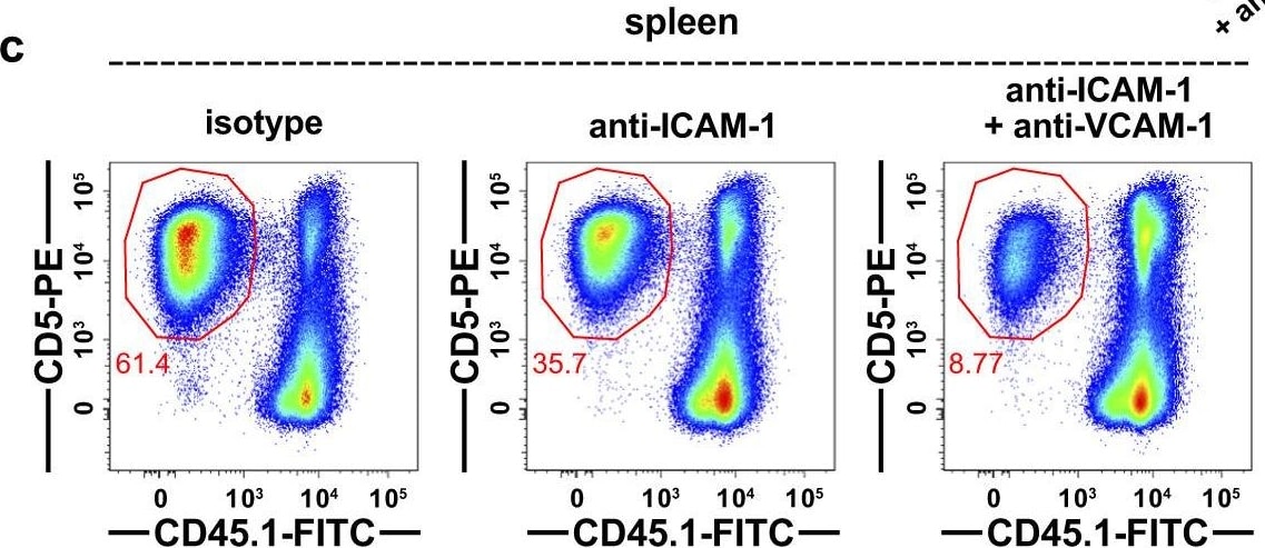 Detection of Mouse VCAM-1/CD106 by Flow Cytometry