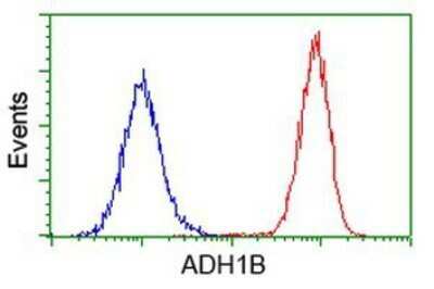 Flow Cytometry: alcohol dehydrogenase 1B Antibody (OTI4F12) - Azide and BSA Free [NBP2-70092]