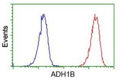 Flow Cytometry: alcohol dehydrogenase 1B Antibody (OTI4F12) - Azide and BSA Free [NBP2-70092]