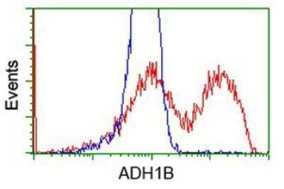 Flow Cytometry: alcohol dehydrogenase 1B Antibody (OTI4F12) - Azide and BSA Free [NBP2-70092]