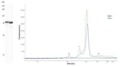 Simple Western: alpha-Fetoprotein/AFP Antibody (189508) [MAB13692]