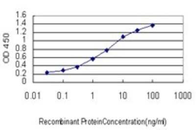 ELISA: alpha-Fetoprotein/AFP Antibody (1G7) [H00000174-M01]