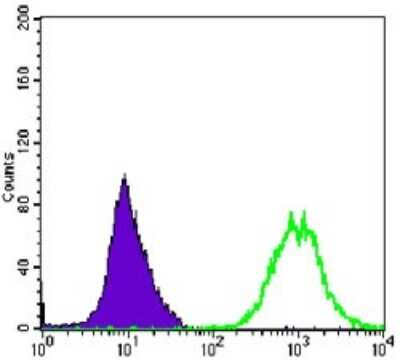Flow Cytometry: alpha-Smooth Muscle Actin Antibody (1H8) - BSA Free [NBP2-37641]