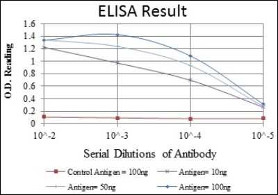 ELISA: alpha-Smooth Muscle Actin Antibody (4A4) - BSA Free [NBP2-22120]