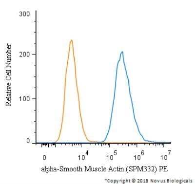 Flow (Intracellular): alpha-Smooth Muscle Actin Antibody (SPM332) - Azide and BSA Free [NBP2-34760]
