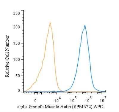 Flow (Intracellular): alpha-Smooth Muscle Actin Antibody (SPM332) - Azide and BSA Free [NBP2-34760]