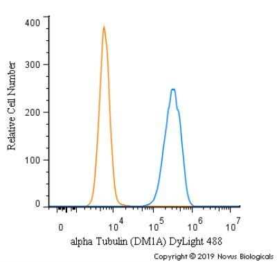 Flow Cytometry: alpha Tubulin Antibody (DM1A) - Azide and BSA Free [NBP2-80570]