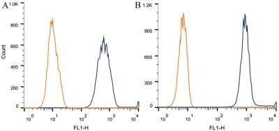Flow Cytometry: alpha Tubulin Antibody (DM1A) - Azide and BSA Free [NBP2-80570]