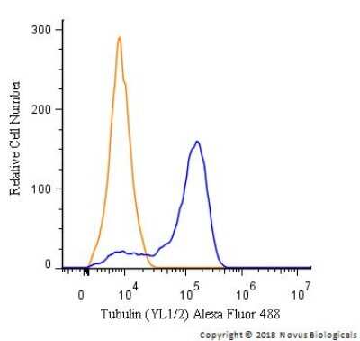 Flow Cytometry: alpha Tubulin Antibody (YL1/2) - BSA Free [NB600-506]