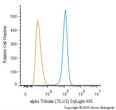 Flow Cytometry: alpha Tubulin Antibody (YL1/2) - BSA Free [NB600-506]