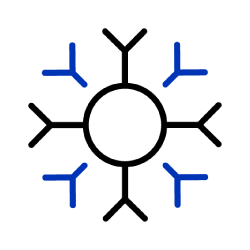 cell surrounded by Y-shaped antibodies