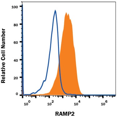 Detection of RAMP2 antibody in bEnd.3 Mouse Cell Line antibody by Flow Cytometry.