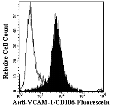 Detection of VCAM-1/CD106 antibody in HUT-78 Human Cell Line antibody by Flow Cytometry.